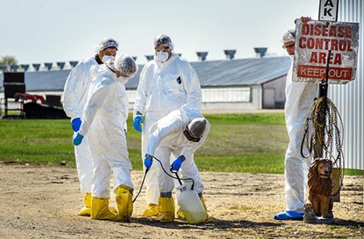 Sau Nipah, các chuyên gia lo ngại 2 loại virus đột biến mới có 'tiềm năng gây đại dịch', lây từ động vật sang người- Ảnh 4.