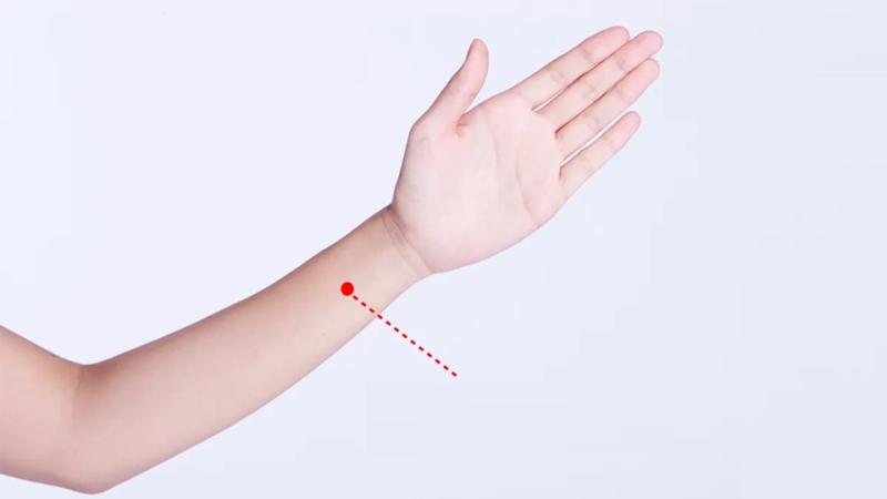 Bác sĩ bật mí 4 huyệt giải quyết chứng khó tiêu, 6 vị thảo dược hỗ trợ giảm cân, tăng nhu động ruột- Ảnh 1.