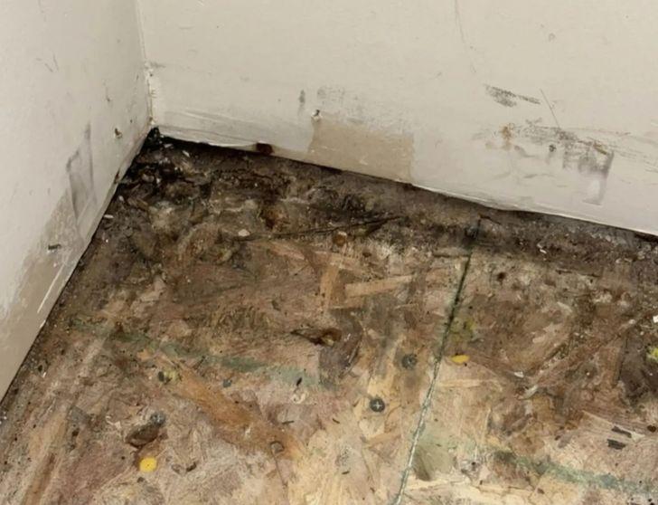 Bỏ 10 tỷ mua nhà, dọn vào ở được vài tháng, người phụ nữ mắc phải căn bệnh lạ khiến cơ thể biến dạng- Ảnh 2.