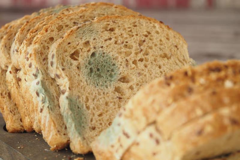 Ăn bánh mì mốc có sao không? 3 chuyên gia lên tiếng, câu trả lời khiến nhiều người rùng mình- Ảnh 1.
