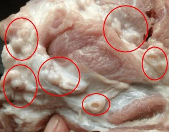 3 phần thịt lợn bị cảnh báo 