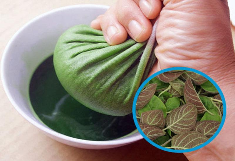 Loại lá "quét sạch" cơn ho mùa đông mà ít người biết- Ảnh 4.