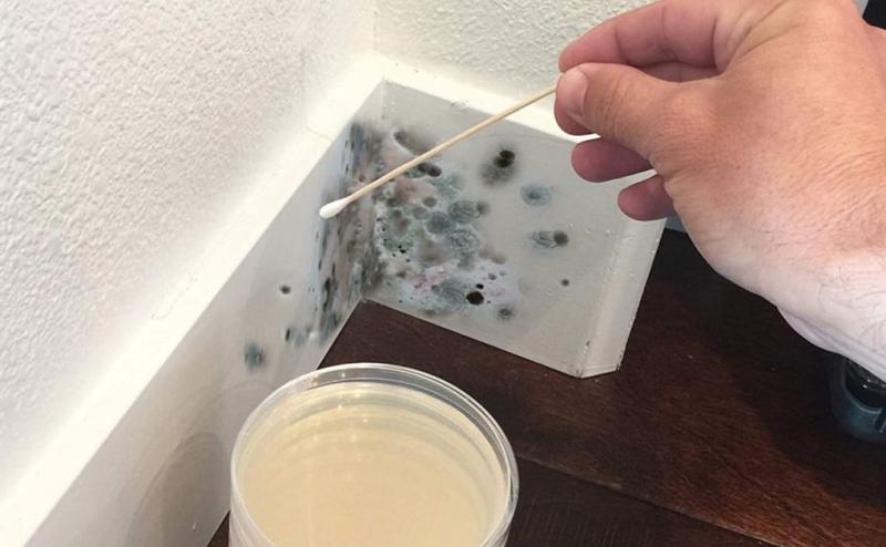 Thời tiết miền Bắc bước vào chuỗi ngày nồm ẩm: Cẩn trọng với nhiều bệnh lây truyền- Ảnh 2.