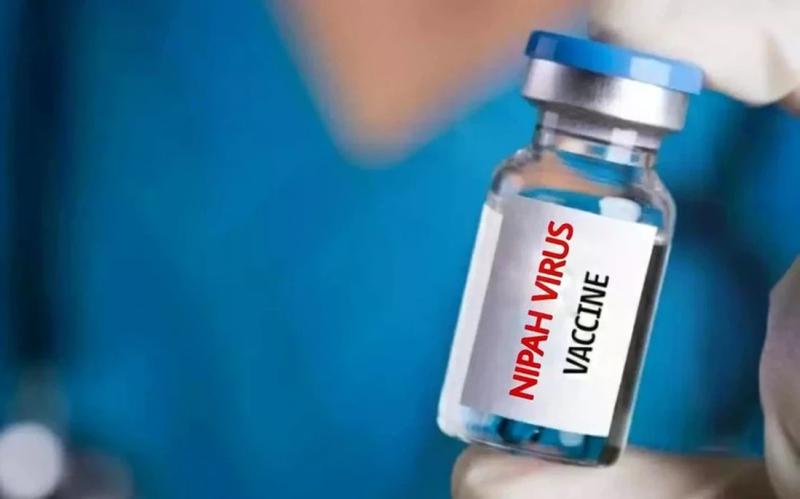 Virus tử thần có tỷ lệ tử vong tới 75% sắp có “lá chắn”: Nhật Bản thử nghiệm vaccine Nipah, cả châu Á nâng cảnh giác- Ảnh 1.