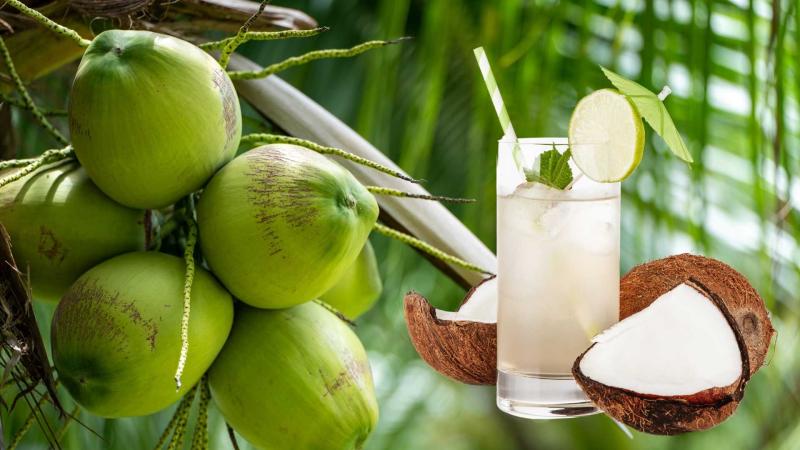 3 loại đồ uống giảm rụng tóc ngay, lại còn giúp da đẹp, dáng thon, trong Tết nên uống để ra Tết không phải "cứu nhan sắc"- Ảnh 2.