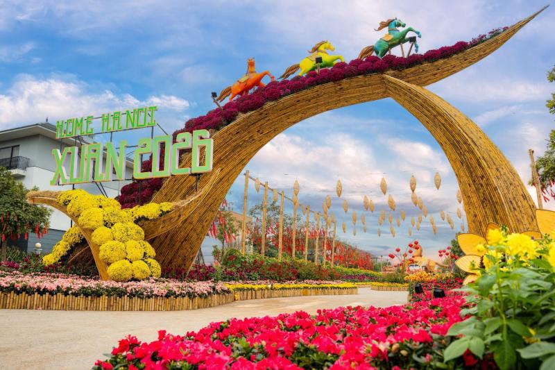 Giải mã Đường hoa Home Hanoi Xuan 2026: Tọa độ du xuân mới đang được giới trẻ Hà Nội rủ nhau check-in- Ảnh 1.