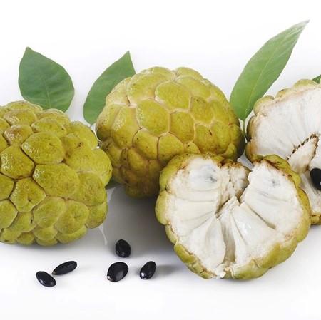 Lợi ích chưa từng nghe tới từ loại quả quen thuộc, có thể phòng ung thư, ngừa đột quỵ- Ảnh 2.