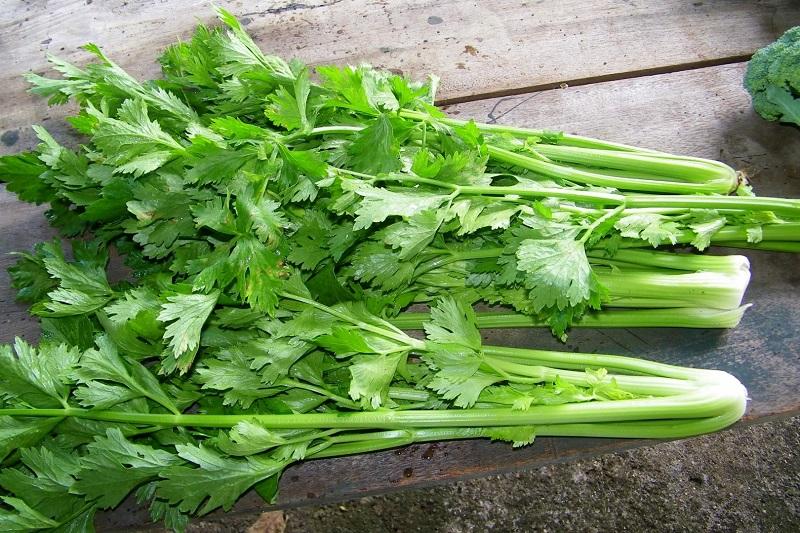 5 loại rau mà tế bào ung thư sợ nhất, nhất là ung thư phổi, ung thư vú và ung thư đại trực tràng- Ảnh 1.