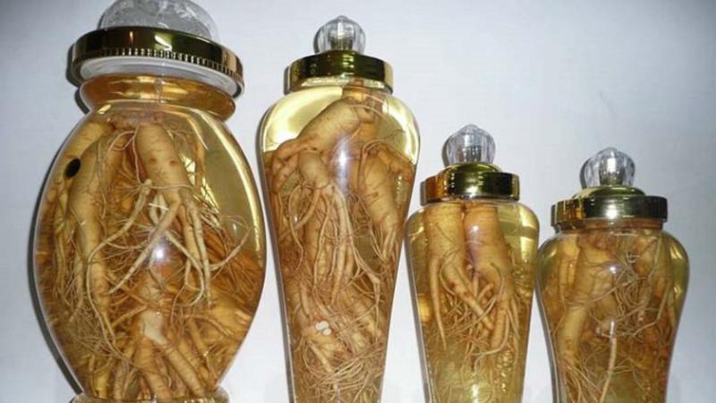 1 lưu ý quan trọng bất cứ ai uống rượu đinh lăng đều phải biết- Ảnh 2.