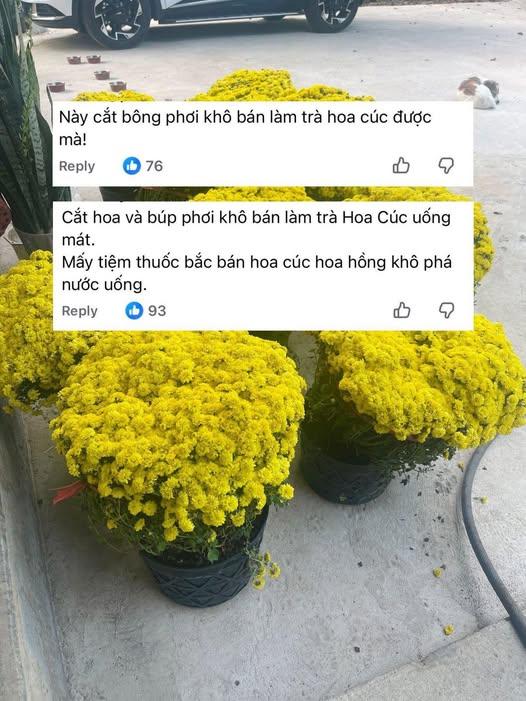 Chớ dại mà tận dụng những thứ này sau Tết kẻo ngộ độc, rước họa vào thân- Ảnh 2.