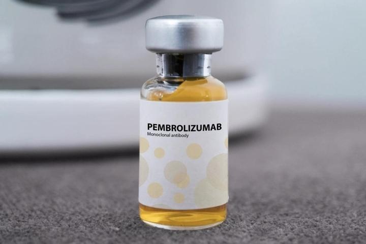 Thuốc Pembroria chứa Pembrolizumab điều trị được những loại ung thư nào?- Ảnh 1.