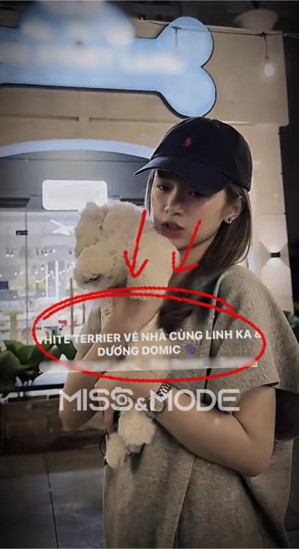 Dương Domic và Linh Ka đã dọn về sống chung nhà?- Ảnh 1. Dương Domic và Linh Ka đã dọn về sống chung nhà?- Ảnh 1.