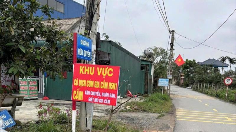 Hà Tĩnh tiêu hủy gần 1.000 gia cầm nhiễm cúm H5N1, siết chặt ngăn lây sang người- Ảnh 1.