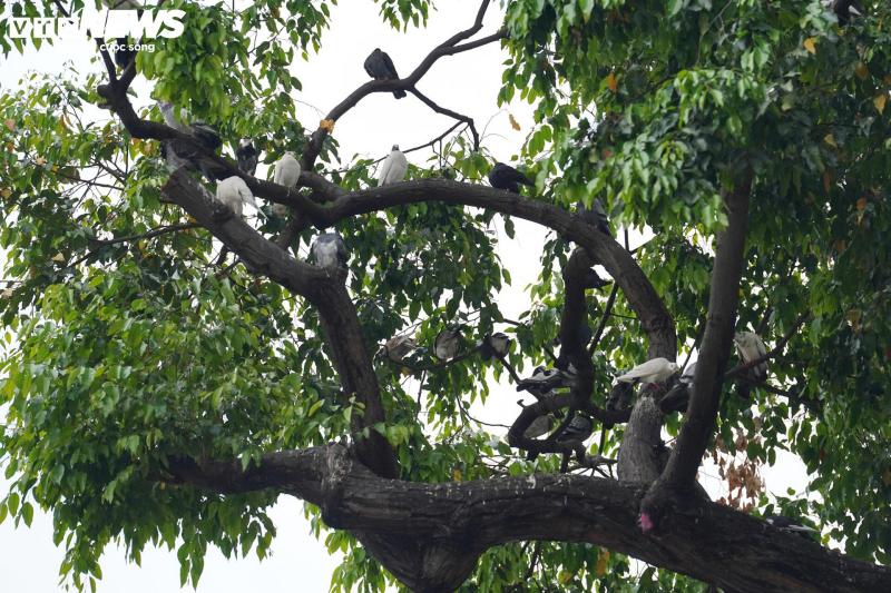 Xe đạp công cộng TP.HCM ế ẩm, du khách ngại dùng vì lý do khó tin- Ảnh 8.