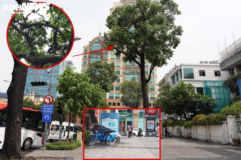 Xe đạp công cộng TP.HCM ế ẩm, du khách ngại dùng vì lý do khó tin- Ảnh 6.