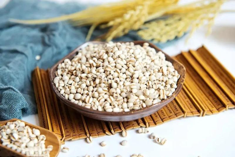 4 loại ''gạo trường thọ'' nên ăn thường xuyên, vừa hỗ trợ tiêu hóa vừa tốt cho thận, chợ Việt bán ê hề- Ảnh 2.