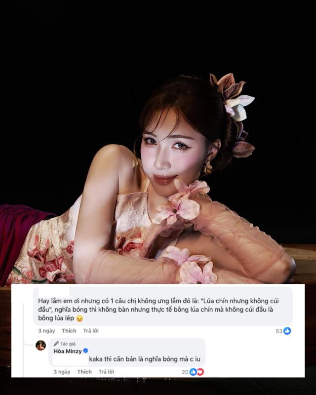 "Lúa chín cao mà chẳng hề cúi đầu": Ca khúc mới của Cẩm Ly - Hoà Minzy gây tranh cãi - Ảnh 4.