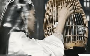 Phim Trung Quốc tình tay ba hay nhất từng có trên đời: Nữ chính vừa cổ đại vừa tân thời, xem không khen đúng chuyện lạ- Ảnh 9.