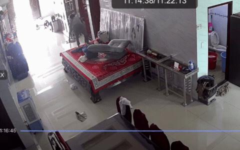 43 triệu người "nín thở" vì 1 chuyện diễn ra trong nhà Lê Dương Bảo Lâm, hàng xóm phải kéo đến xem hiện trường- Ảnh 3.