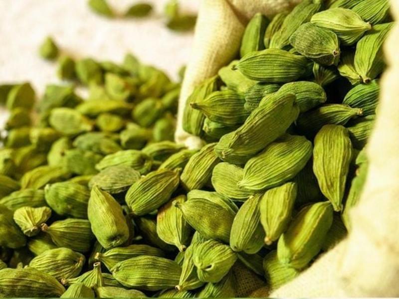 Loại hạt "đắt đỏ bậc nhất thế giới", chỉ hơn 10 nước trồng được, Việt Nam cũng có- Ảnh 2.