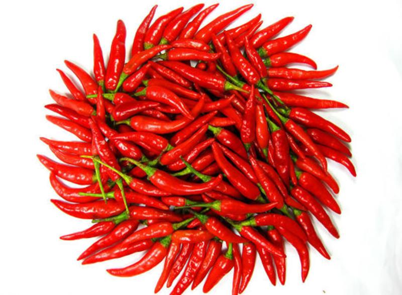 Loại quả được đánh giá "tốt nhất thế giới", hễ đi chợ Việt là thấy - Ảnh 2.