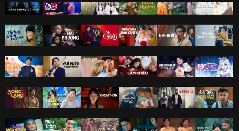 Chuyện gì đang xảy ra với Netflix Việt Nam?- Ảnh 6.