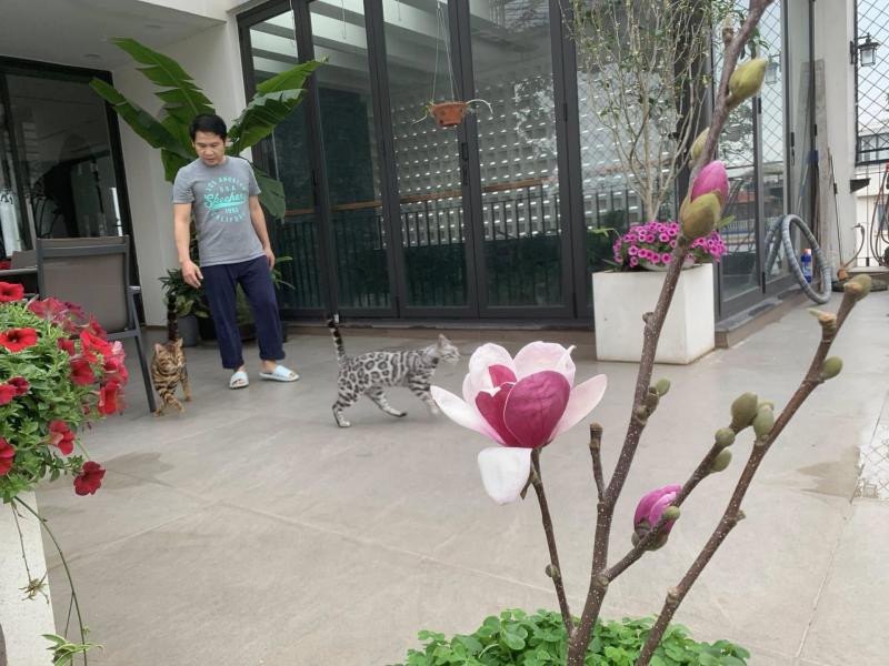 "Ông hoàng nhạc đỏ" cưới vợ vừa đẹp vừa giỏi, vui thú điền viên trong biệt thự 4000m2 ở Hà Nội- Ảnh 7.