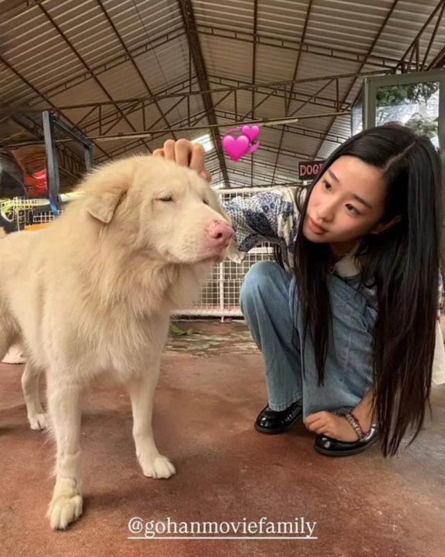 Mỹ nhân làm đứt chuỗi phim Việt top 1 phòng vé suốt 87 ngày, thở thôi cũng khiến cả nước ghét bỏ- Ảnh 4.