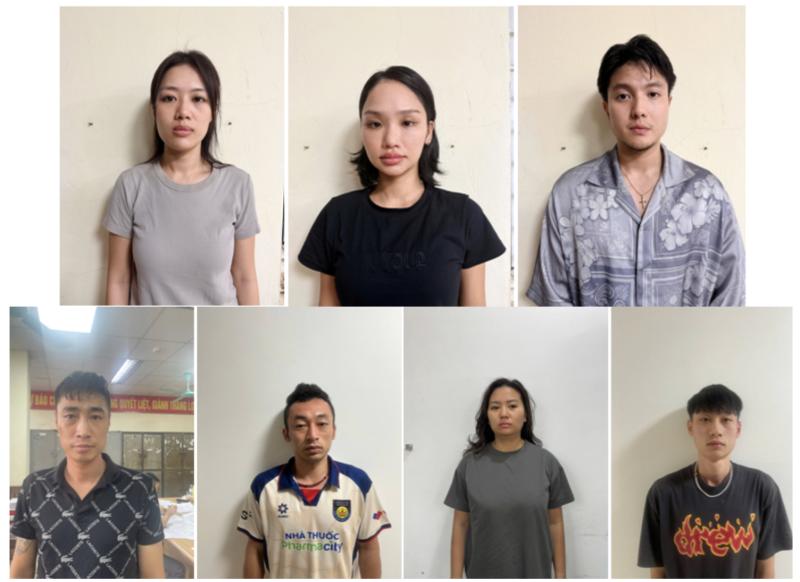 Vì sao Miu Lê bị khởi tố?- Ảnh 1.