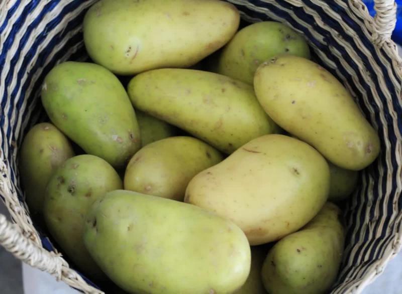 Nhắc nhở: Có 4 loại rau tuyệt đối không được ăn, bán rẻ mấy cũng đừng mang về nhà - Ảnh 1.