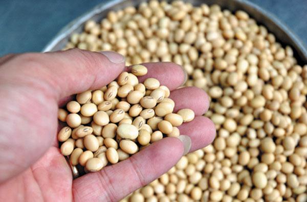 Loại thực phẩm phụ nữ càng ăn càng khỏe đẹp nhưng nhiều người lại sợ - Ảnh 1.