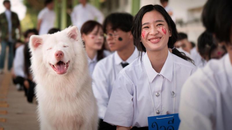 Mỹ nhân làm đứt chuỗi phim Việt top 1 phòng vé suốt 87 ngày, thở thôi cũng khiến cả nước ghét bỏ- Ảnh 2.