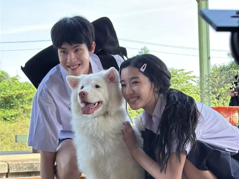 Mỹ nhân làm đứt chuỗi phim Việt top 1 phòng vé suốt 87 ngày, thở thôi cũng khiến cả nước ghét bỏ- Ảnh 3.