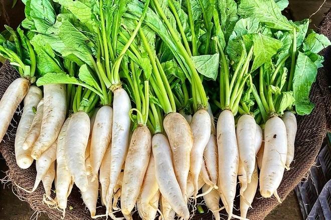 Ăn sống thải độc, nấu chín tốt cho phổi, hầm kỹ bổ dạ dày: Loại củ được ví như "nhân sâm trắng" của người Việt - Ảnh 3.
