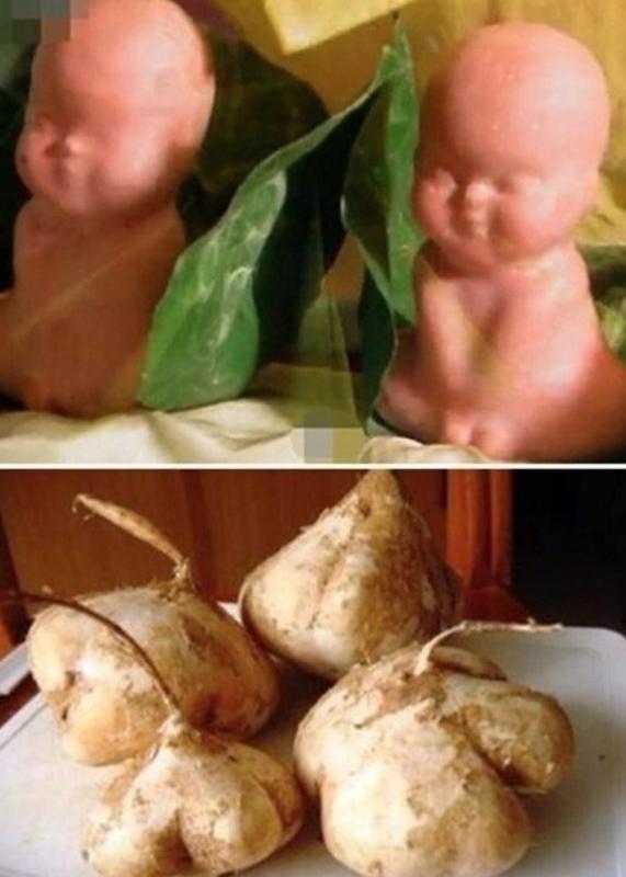 Hậu trường "cười ra nước mắt" ít được hé lộ của phim Tây Du Ký- Ảnh 11.