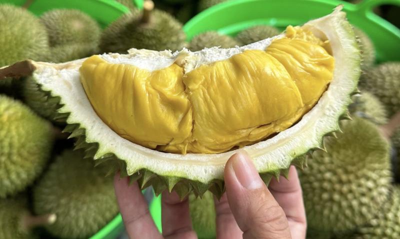 Dân mạng phát sốt vì "sầu riêng"vào mùa: Ăn thường xuyên, cơ thể có thể gặp loạt biến đổi bất ngờ  - Ảnh 1.