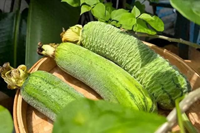 Mướp đang vào mùa nhưng ăn kiểu này chẳng khác nào "bức tử" thận của bạn, 3 sai lầm nhiều người mắc suốt mùa hè cần bỏ ngay- Ảnh 1.