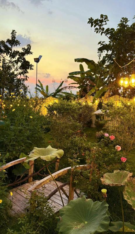 Bỏ việc văn phòng, dùng ChatGPT thiết kế khu vườn trên mảnh đất 1000m2: "Hết đau cổ vai gáy thì chuyển sang đau lưng vì cuốc đất"- Ảnh 9.