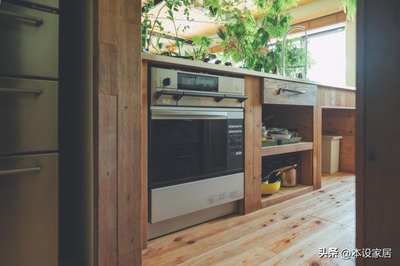 Người phụ nữ U40 biến căn bếp thành “khu vườn xanh” với hơn 30 loại cây: Mỗi sáng thức dậy đều thấy cuộc sống đáng yêu hơn- Ảnh 4.