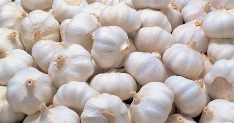 Người phụ nữ ăn tỏi sống mỗi ngày để "ngừa ung thư", sau 6 tháng nhận tin bất ngờ- Ảnh 2.