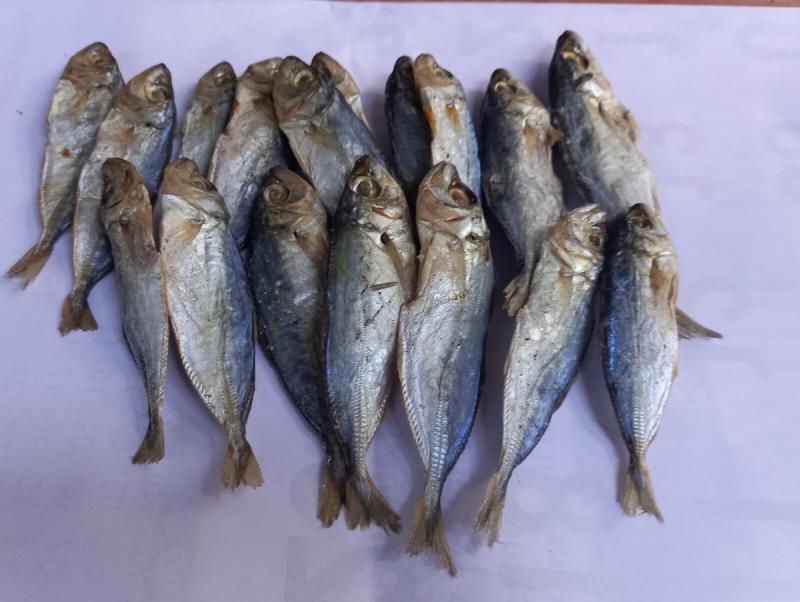 4 loại cá làm tăng nguy cơ mắc ung thư nếu lạm dụng: Thích tới mấy cũng phải hạn chế- Ảnh 2.