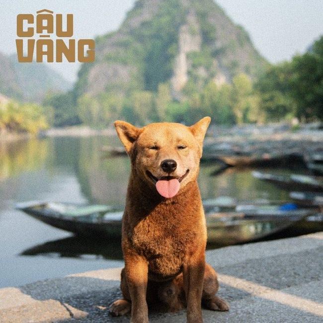 5 phim Việt Nam dở nhất mọi thời đại: Hạng 1 là đỉnh cao của thảm họa, ai chưa xem là quá may mắn- Ảnh 9.