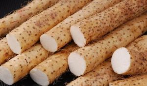 Tác dụng của củ mài tươi với sức khỏe