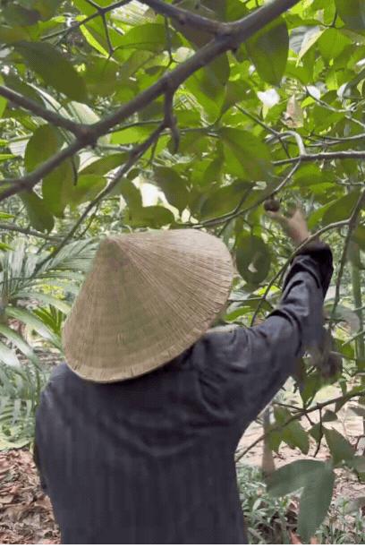 Tổng tài số khổ nhất Việt Nam là đây: Hết thời phải đi lột vỏ tôm, cạo mủ cao su để mưu sinh- Ảnh 4.