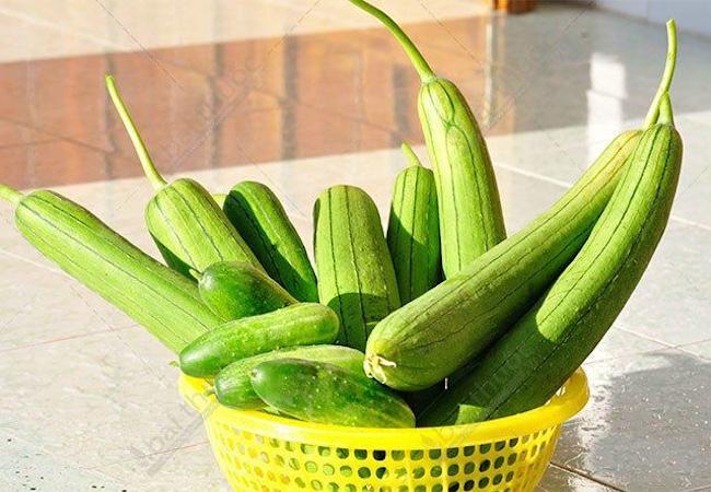 Mùa hè ra chợ gặp 4 loại rau củ này nhớ mua ngay: Không thuốc trừ sâu lại "bổ như sâm", ăn ngon còn giảm mệt mỏi- Ảnh 4.