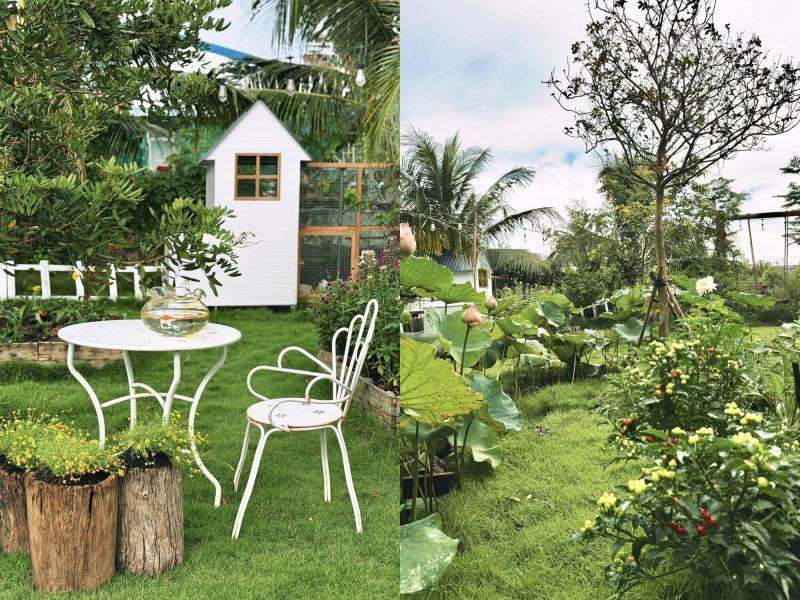 Bỏ việc văn phòng, dùng ChatGPT thiết kế khu vườn trên mảnh đất 1000m2: "Hết đau cổ vai gáy thì chuyển sang đau lưng vì cuốc đất"- Ảnh 27.