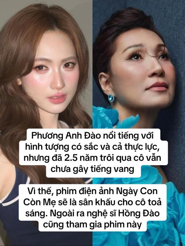 Hết kiên nhẫn với Phương Anh Đào- Ảnh 1.
