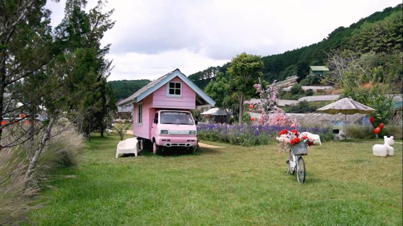 Pink Valley: Thung lũng đẹp như cổ tích ở Đà Lạt khiến giới trẻ mê mẩn chỉ với 120.000 đồng - Ảnh 1. Pink Valley: Thung lũng đẹp như cổ tích ở Đà Lạt khiến giới trẻ mê mẩn chỉ với 120.000 đồng - Ảnh 1.
