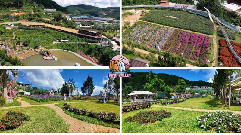 Pink Valley: Thung lũng đẹp như cổ tích ở Đà Lạt khiến giới trẻ mê mẩn chỉ với 120.000 đồng - Ảnh 2. Pink Valley: Thung lũng đẹp như cổ tích ở Đà Lạt khiến giới trẻ mê mẩn chỉ với 120.000 đồng - Ảnh 2.