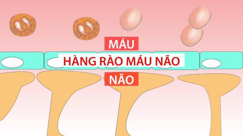 Bột ngọt và những hiểu lầm kéo dài nhiều năm - Ảnh 2.